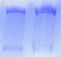 Thumbnail for version as of 17:59, 24 June 2011
