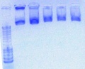 Thumbnail for version as of 11:35, 13 September 2012