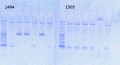 Thumbnail for version as of 15:30, 26 December 2012