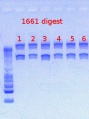 Thumbnail for version as of 11:52, 14 February 2013