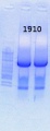Thumbnail for version as of 16:26, 7 July 2014