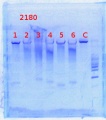 Thumbnail for version as of 12:44, 12 May 2014