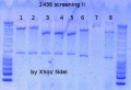 Thumbnail for version as of 16:43, 20 April 2015