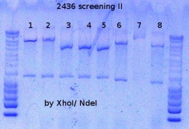 RTENOTITLE