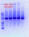 Thumbnail for version as of 16:45, 18 October 2019