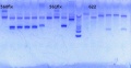 Thumbnail for version as of 11:29, 6 August 2013