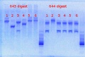 Thumbnail for version as of 12:50, 30 May 2013