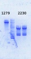 Thumbnail for version as of 12:27, 5 August 2014