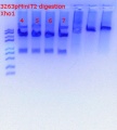 Thumbnail for version as of 15:02, 5 September 2018