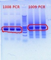 Thumbnail for version as of 15:48, 13 February 2012