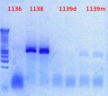 Thumbnail for version as of 16:52, 6 December 2012