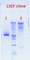 Thumbnail for version as of 15:23, 25 October 2012