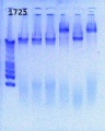 Thumbnail for version as of 16:55, 5 April 2013