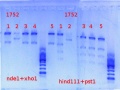 Thumbnail for version as of 17:19, 28 May 2013
