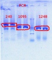 Thumbnail for version as of 14:29, 24 October 2012