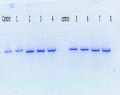 Thumbnail for version as of 09:52, 28 June 2016