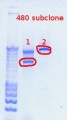 Thumbnail for version as of 16:52, 30 November 2011