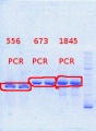 Thumbnail for version as of 09:53, 23 September 2013