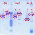 Thumbnail for version as of 15:21, 5 April 2012