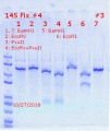 Thumbnail for version as of 21:38, 27 October 2018