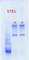 Thumbnail for version as of 10:59, 13 June 2013