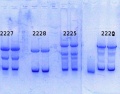 Thumbnail for version as of 11:08, 3 July 2014