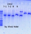 Thumbnail for version as of 15:27, 27 March 2015