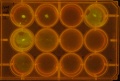 Thumbnail for version as of 18:35, 13 March 2011