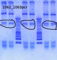 Thumbnail for version as of 15:20, 15 March 2013