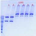 Thumbnail for version as of 13:32, 8 June 2012