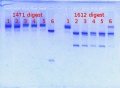 Thumbnail for version as of 15:09, 28 January 2013