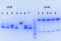Thumbnail for version as of 16:46, 28 July 2014