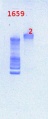 Thumbnail for version as of 12:52, 22 February 2013