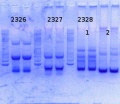 Thumbnail for version as of 13:59, 8 January 2015