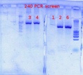 Thumbnail for version as of 15:25, 28 November 2012