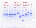 Thumbnail for version as of 20:12, 11 April 2020