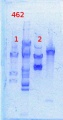 Thumbnail for version as of 15:05, 4 March 2014