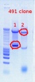Thumbnail for version as of 17:37, 29 November 2011