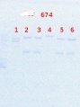Thumbnail for version as of 11:14, 30 September 2013