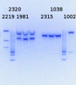 Thumbnail for version as of 13:36, 24 September 2014