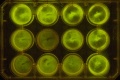 Thumbnail for version as of 14:44, 15 March 2012
