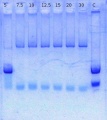Thumbnail for version as of 11:42, 22 August 2014