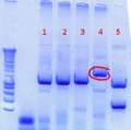 Thumbnail for version as of 14:32, 24 August 2012