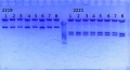 Thumbnail for version as of 14:36, 24 June 2014