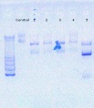 Thumbnail for version as of 17:03, 29 September 2016