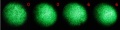 Thumbnail for version as of 12:44, 9 January 2012