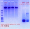 Thumbnail for version as of 19:07, 2 February 2018