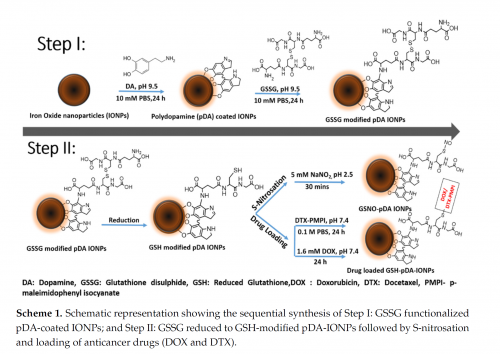 Polydopamine Modified Superparamagnetic Iron Oxide2.png