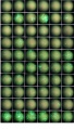 Thumbnail for version as of 09:47, 7 April 2016