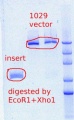 Thumbnail for version as of 10:04, 12 April 2012